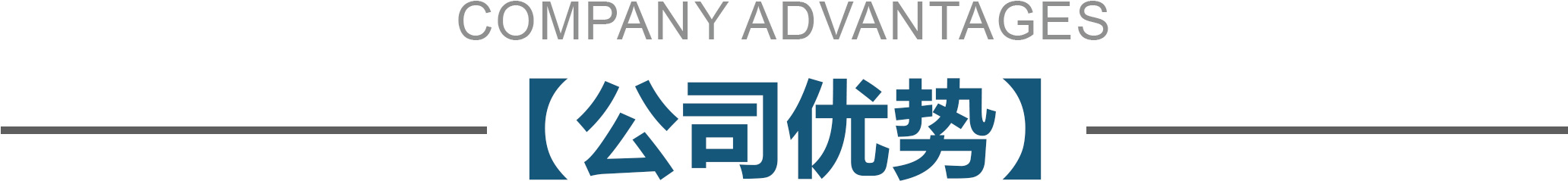 公司优势